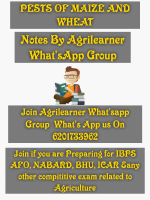 PESTS OF MAIZE AND WHEAT by agrilearner.pdf